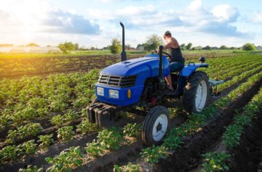 Consórcio para o agronegócio: saiba como o investimento pode ser um aliado nesse setor